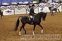 09usn-04914 proof