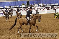 09usn-04915 proof