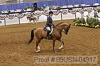 09usn-04917 proof