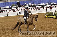 09usn-04919 proof