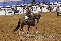 09usn-04929 proof