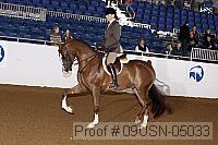 09usn-05033 proof