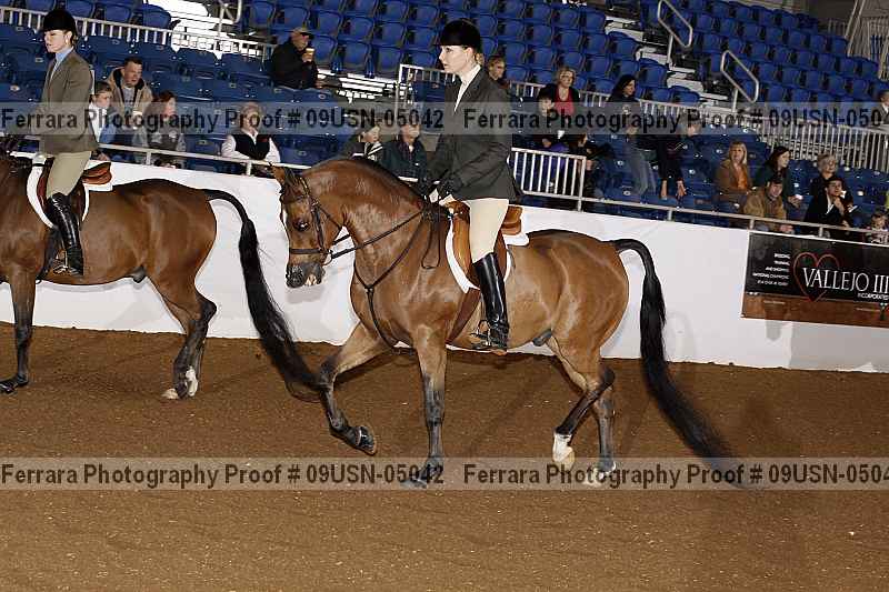 Proof 09usn-05042