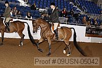 09usn-05042 proof