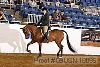 09usn-18095 proof