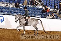 09usn-18116 proof