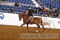 09usn-18172 proof