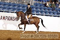 09usn-18181 proof