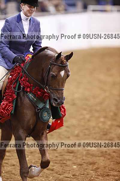 Proof 09usn-26845