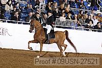 09usn-27521 proof
