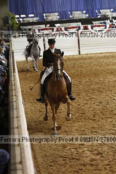 Proof 09usn-27600