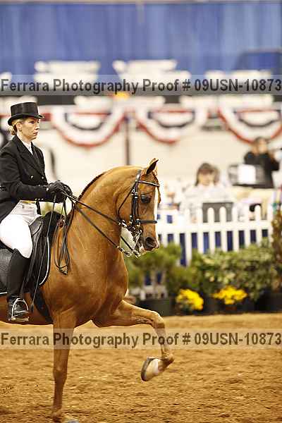 Proof 09usn-10873