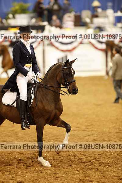 Proof 09usn-10875