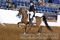 09usn-10911 proof