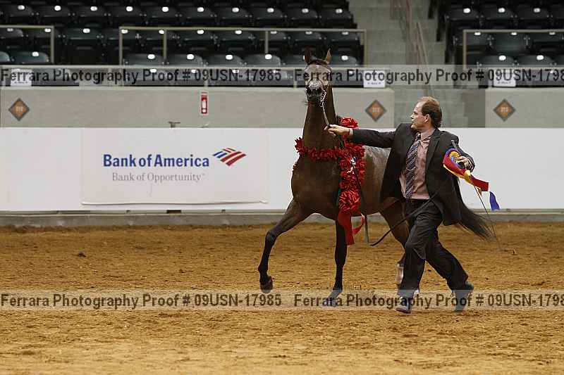 Proof 09usn-17985