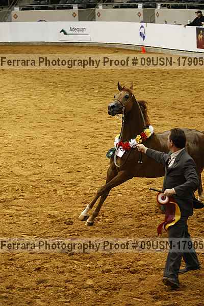 Proof 09usn-17905
