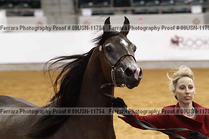 Proof 09usn-11754