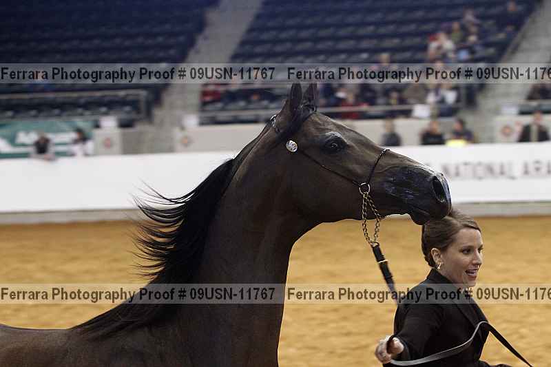 Proof 09usn-11767