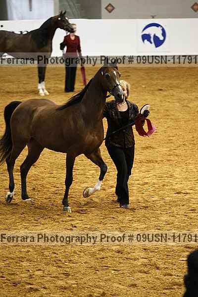 Proof 09usn-11791
