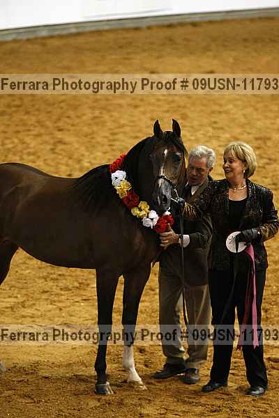 Proof 09usn-11793