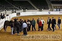 09usn-11803 proof