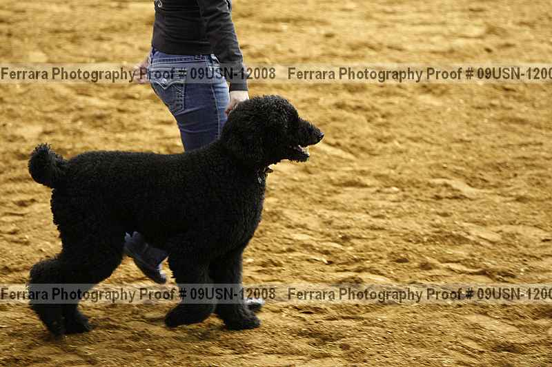 Proof 09usn-12008