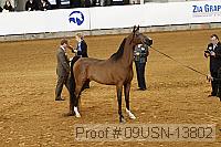 09usn-13802 proof