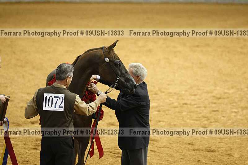 Proof 09usn-13833