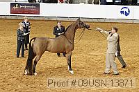 09usn-13871 proof