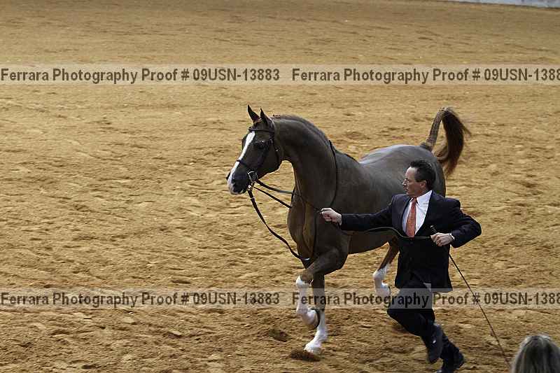 Proof 09usn-13883
