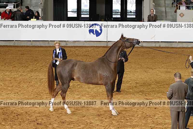 Proof 09usn-13887