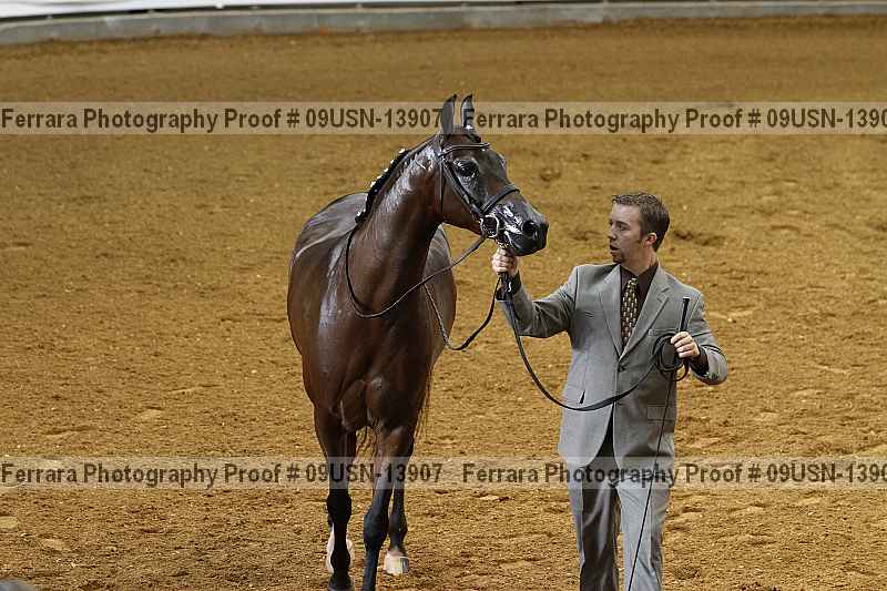 Proof 09usn-13907