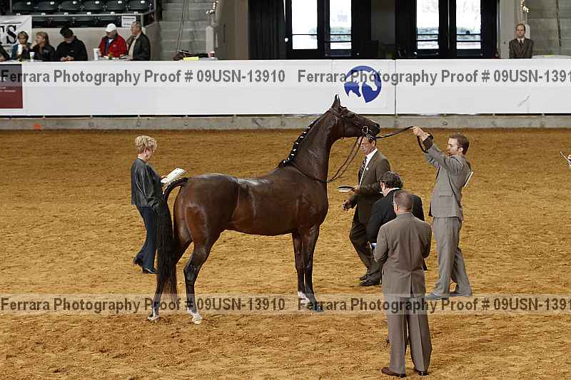 Proof 09usn-13910