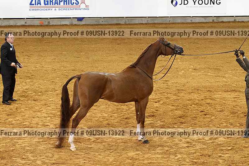 Proof 09usn-13922