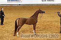 09usn-13922 proof