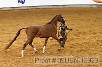 09usn-13923 proof