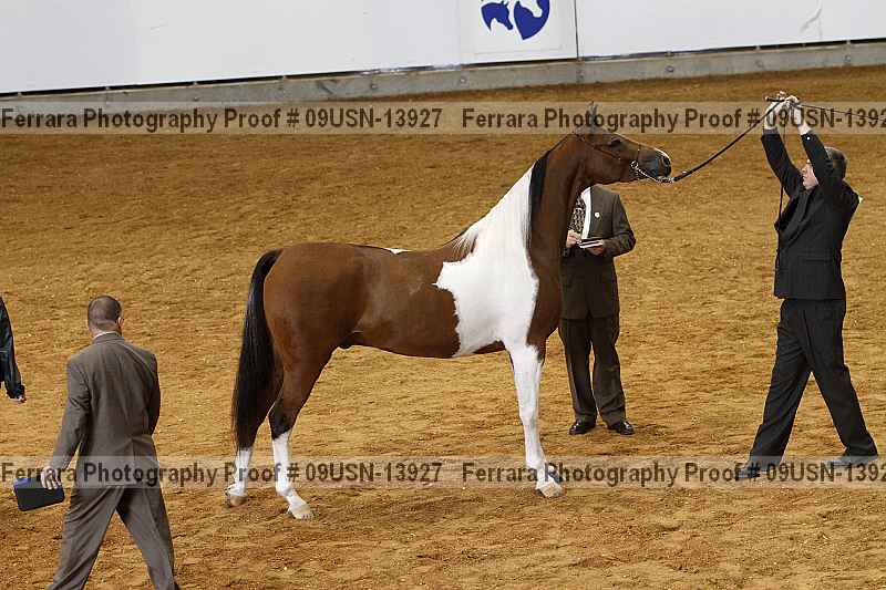 Proof 09usn-13927
