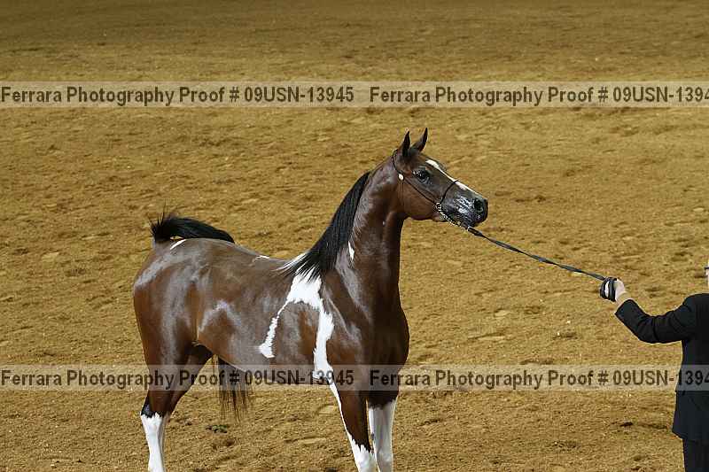 Proof 09usn-13945