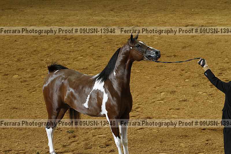 Proof 09usn-13946
