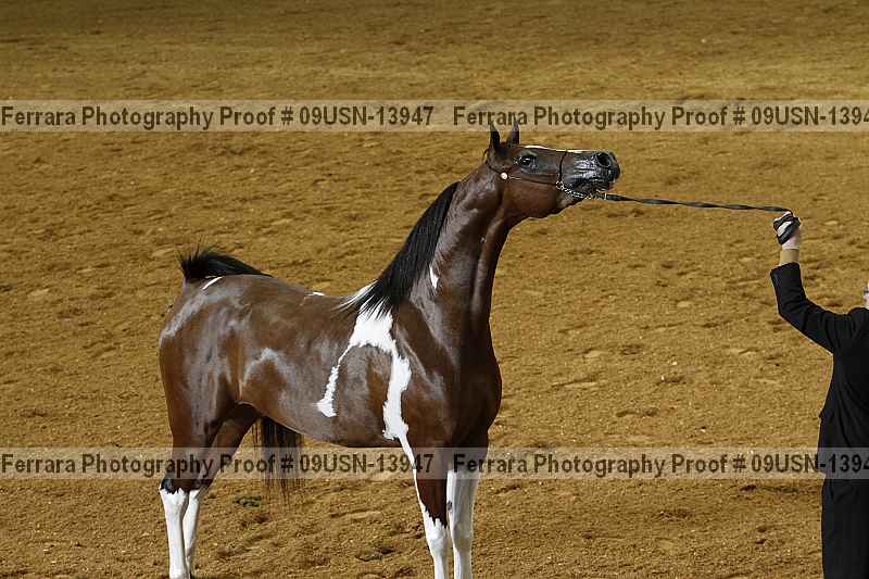 Proof 09usn-13947