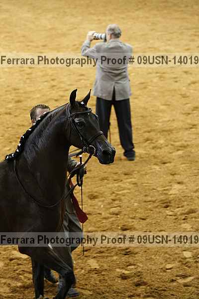 Proof 09usn-14019