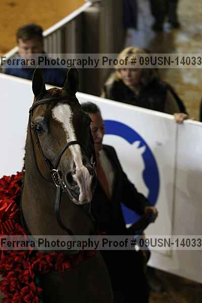 Proof 09usn-14033