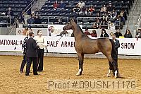 09usn-11176 proof