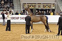09usn-11177 proof