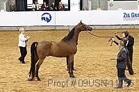 09usn-11196 proof
