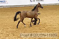 09usn-11199 proof