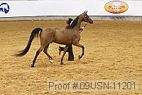 09usn-11201 proof
