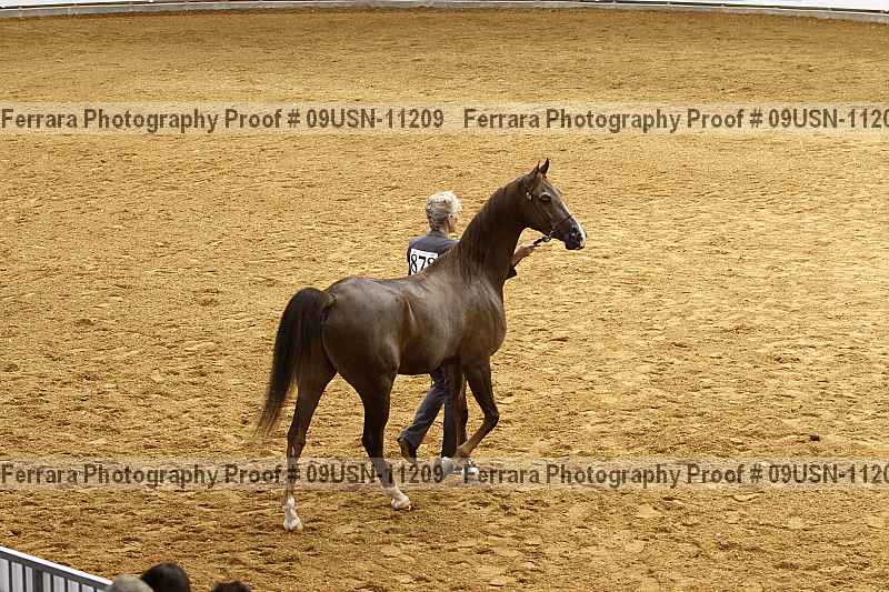 Proof 09usn-11209