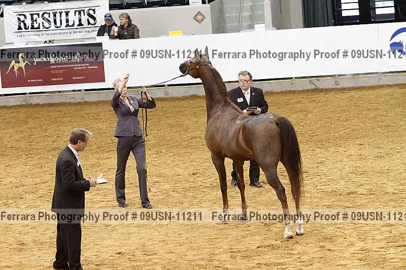 Proof 09usn-11211