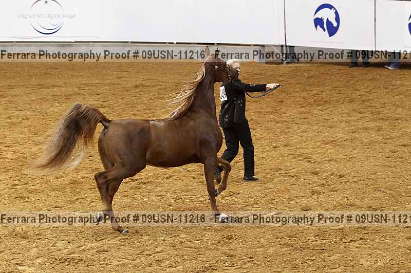 Proof 09usn-11216